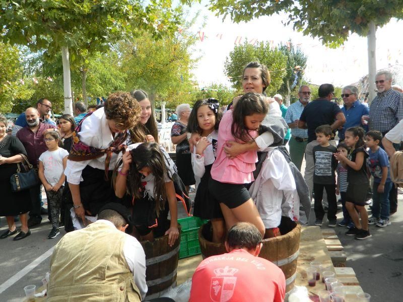 Fiesta de la Vendimia en Moraleja del Vino