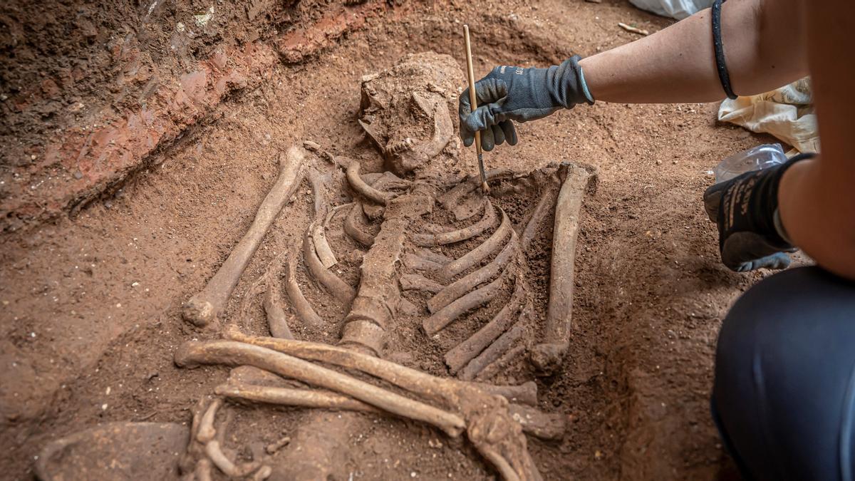 Excavación de una necrópolis tardorromana y tardoantigua en la plaza Antoni Maura por la reforma de la Via Laietana. Detalle de un esqueleto de los siglos V o VI.