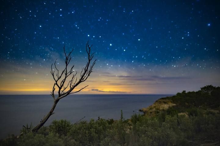 Alejandro Iborra Un árbol que toca las estrellas. Sa Punta de Llevant, Portinatx. «Se tomó de noche, sin luna. El color rojizo del horizonte es la luz de Palma rebotada en las nubes. Ese pequeño árbol parece querer alcanzar las estrellas».