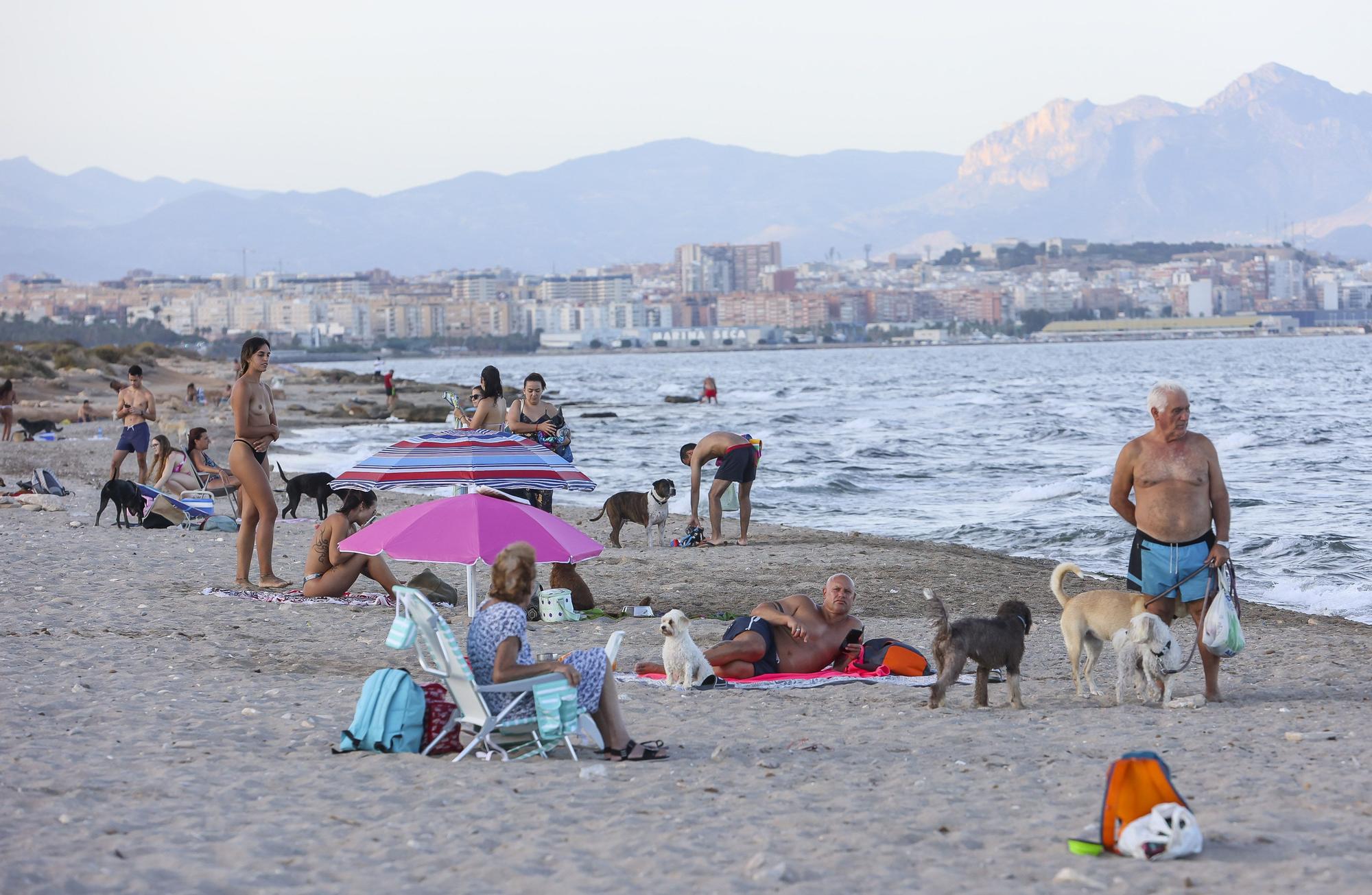 Protesta vecinal en contra del abandono del parque de perros de Aguamarga