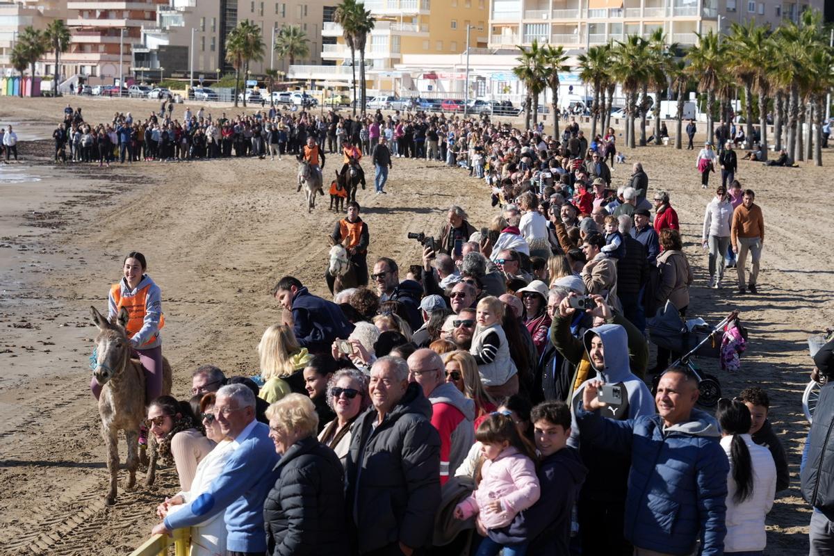 Las imágenes de la carrera de caballos en la playa de Orpesa