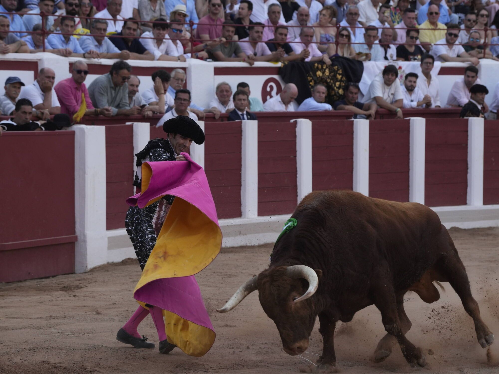 Las mejores imágenes de la feria taurina de San Pedro en Zamora.