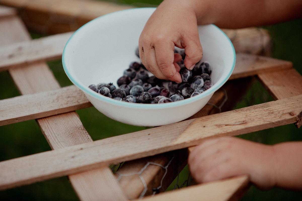 Muchas de las personas que sufren eventos cardiovasculares en la etapa adulta eran niños con factores de riesgo como obesidad o colesterol alto.