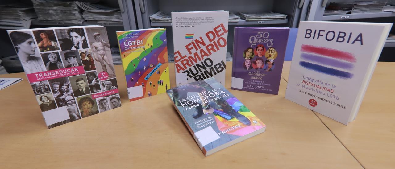 Los libros de temática LGTBi que se ha ordenado retirar de las bibliotecas de los institutos accesibles en la biblioteca municipal