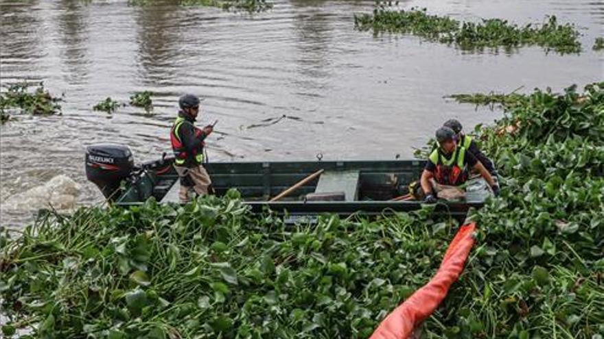 La Unión denunciará a Junta y CHG por los daños causados por el camalote