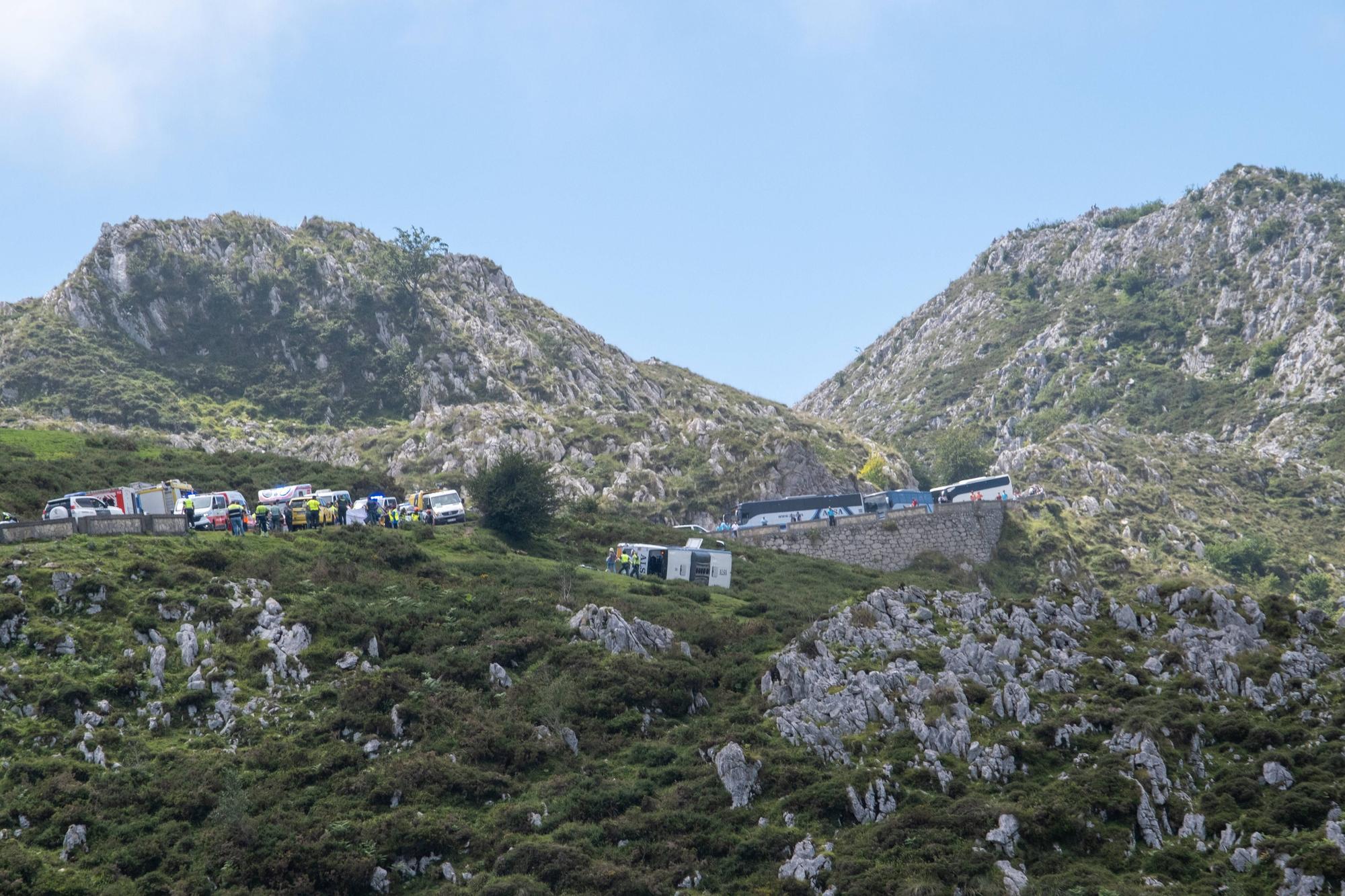 Grave accidente en Covadonga al despeñarse un autobús con niños que iba a los Lagos