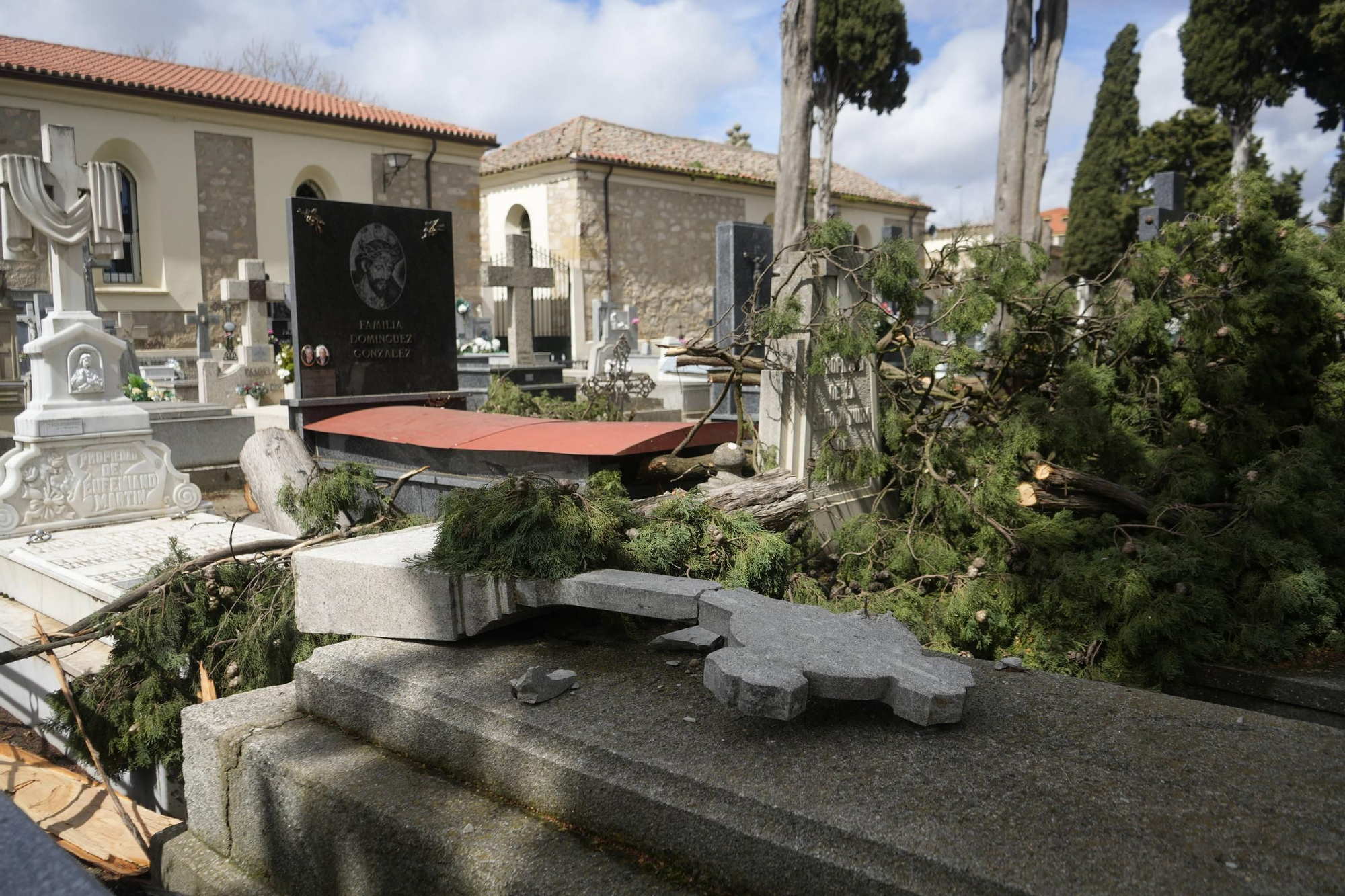 Los importantes daños del temporal en el Cementerio de Zamora