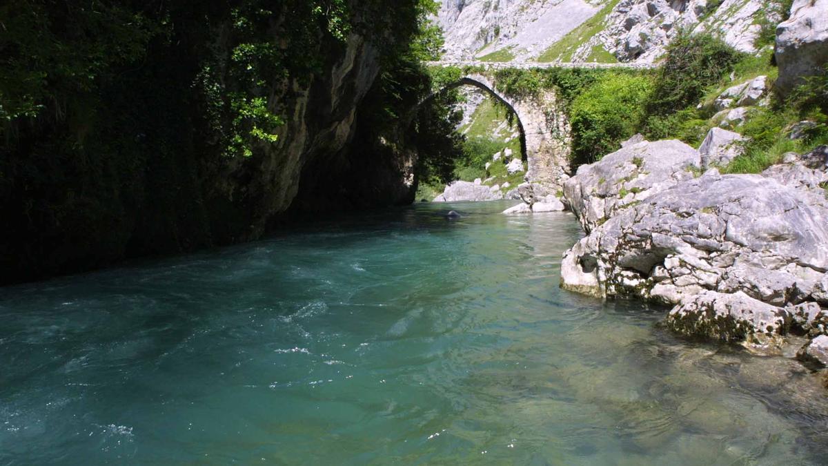 El Cares a su paso por Poncebos (Cabrales).