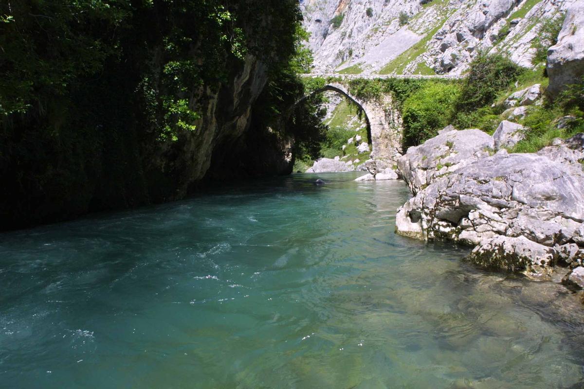 El Cares a su paso por Poncebos (Cabrales).