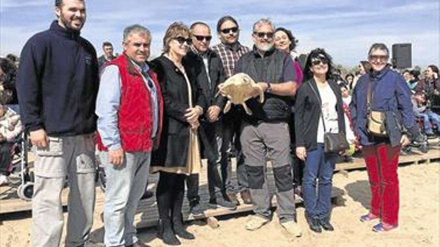 Alliberen tortugues en la  platja l’Arenal de Borriana De la espècie ‘Caretta Caretta’