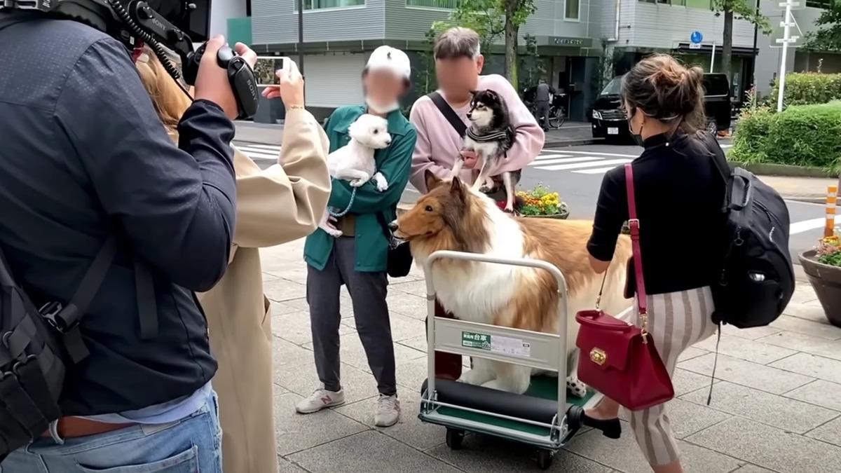 El primer paseo de un hombre que se gastó 14.000 dólares para transformarse en perro