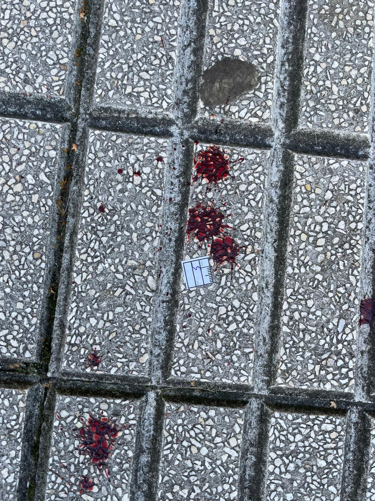 Rastros de sangre