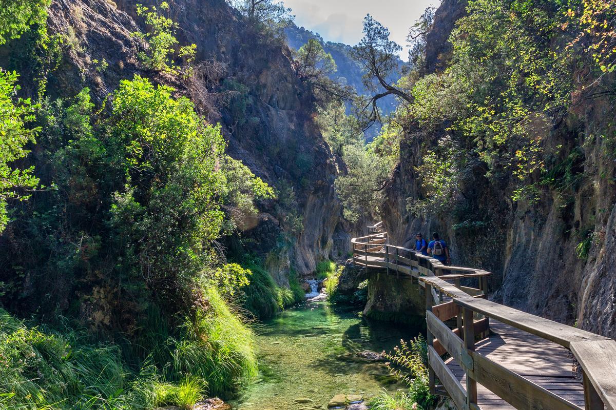 un entramado de 14 pasarelas y puentes colgantes de madera sobre río.