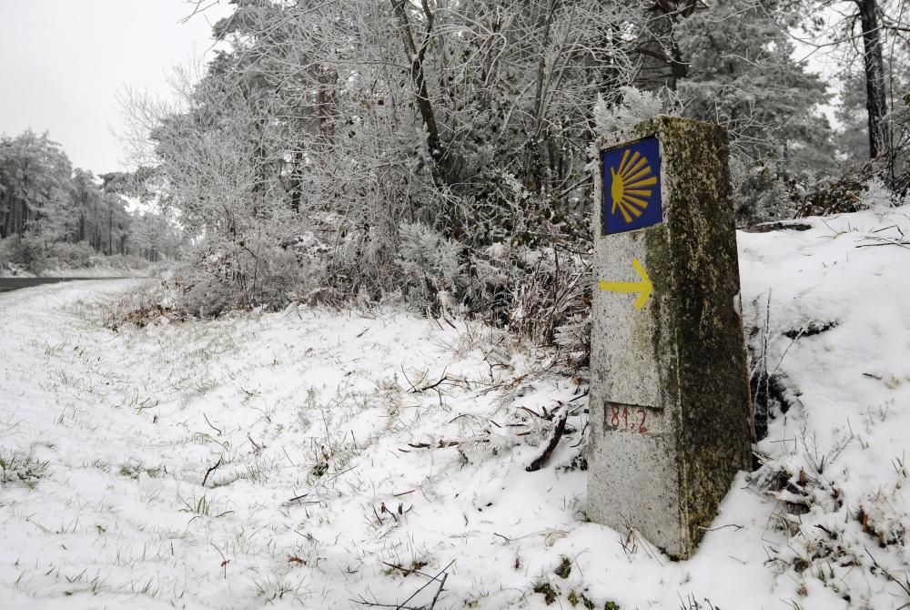 Un manto de nieve para recibir a la primavera