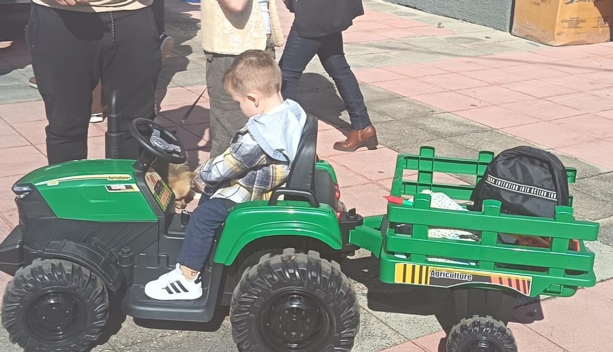Feria del Ganado en La Matanza en el día grande de San Antonio Abad