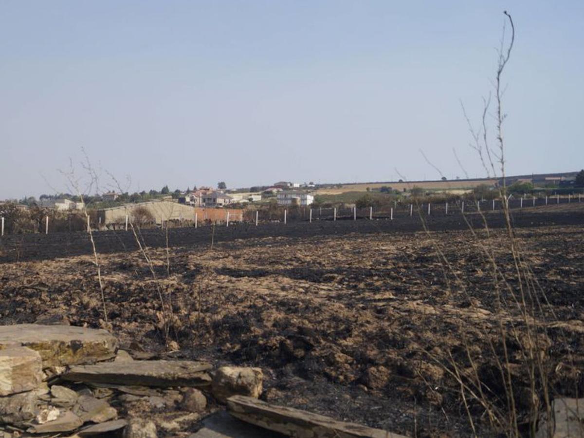 Riofrío es un paisaje tiznado desde que se desatara el incendio forestal de Puercas de Aliste. Por segunda vez, el corazón de la comarca es atacado por el fuego. |