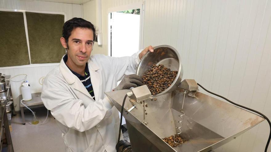 Acemelia, la empresa de Vigo que usa la camelia gallega para crear cosméticos que se venden en toda Europa