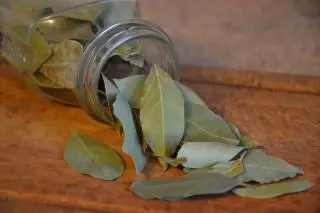 El truco para alejar a los insectos de nuestra habitación