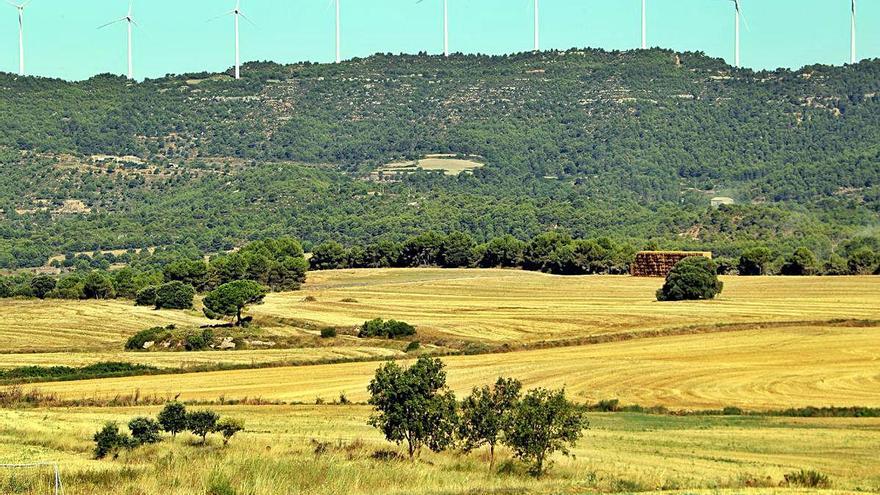 Terrenys de Castellfollit del Boix on s&#039;ha projectat fer el camp fotovoltaic de 90 hectàrees
