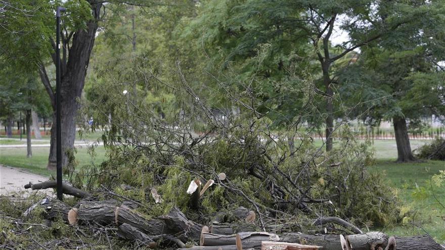 El parque Tío Jorge de Zaragoza se reabre hoy al público