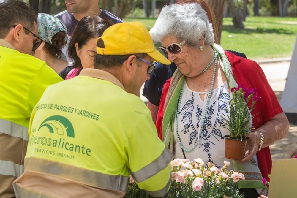 Treinta años del parque Lo Morant