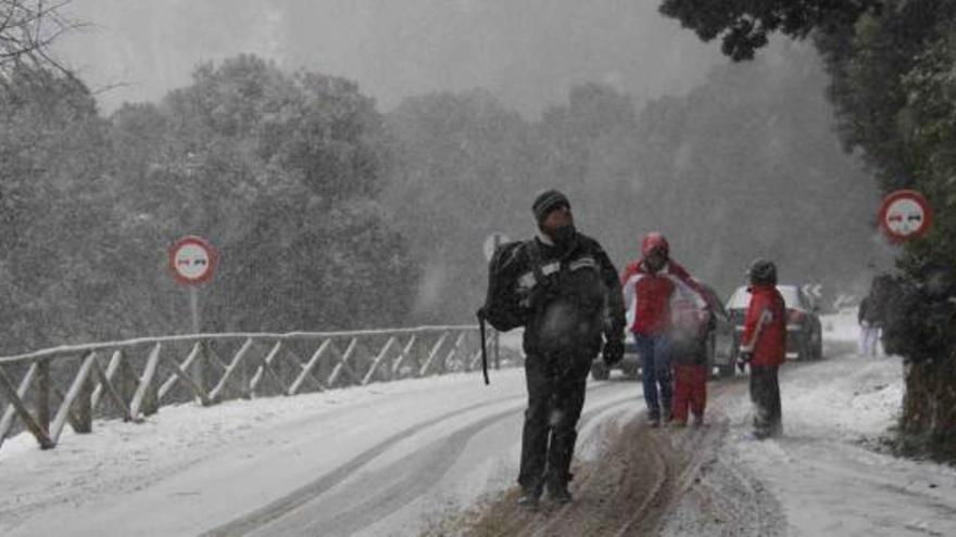 La Font Roja se convirtió ayer en uno de los puntos turísticos de la provincia por la nieve que cosechó. Arriba, senderistas entrando a la explanada del Santuario.