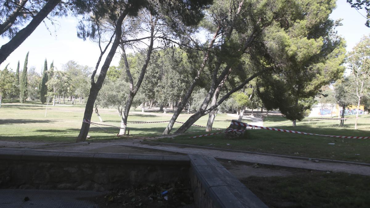 Un árbol medio caído en un parque de Zaragoza este domingo