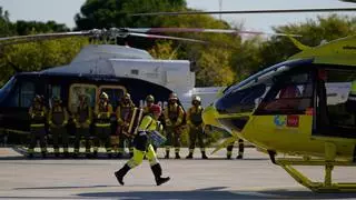 Madrid logró reducir 9 de cada 10 incendios forestales a simples conatos