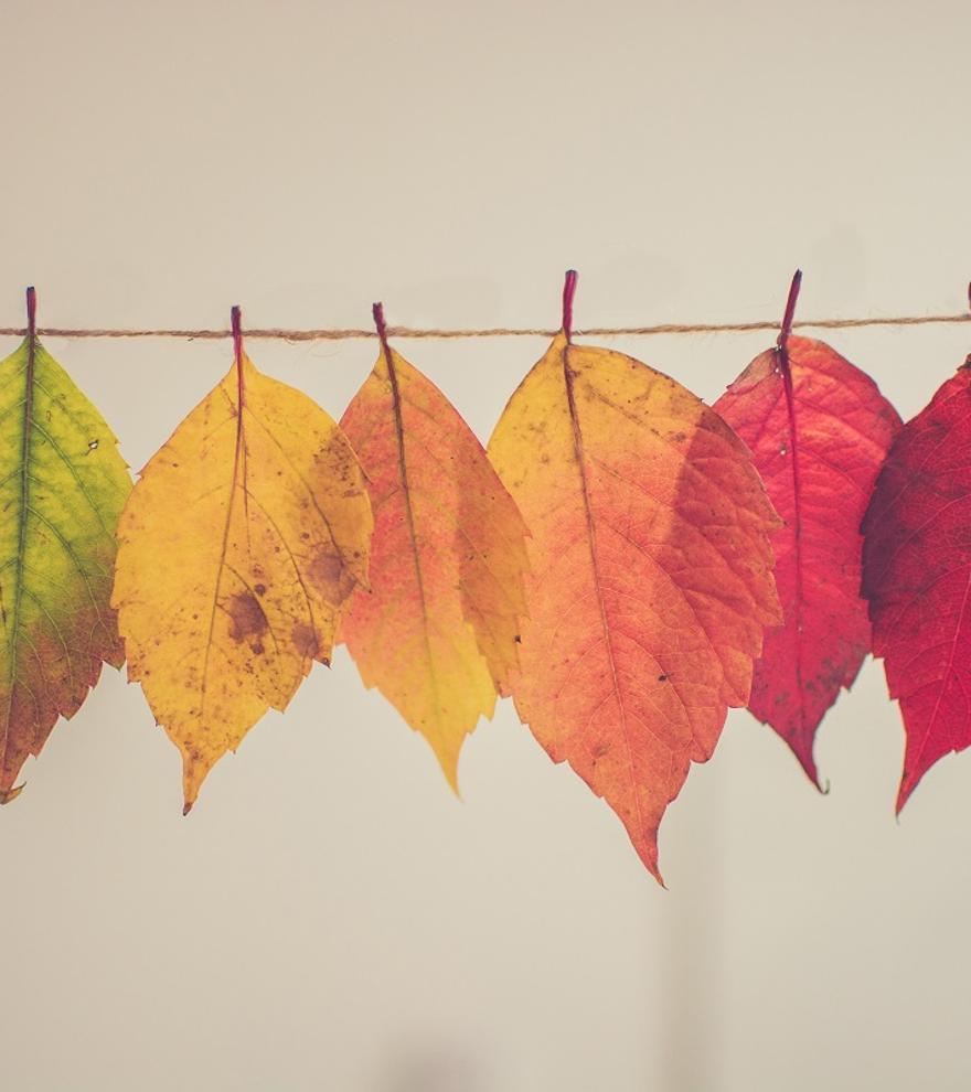 ¿Cómo afecta la llegada del otoño a nuestro estado emocional? 7 consejos de la psicóloga