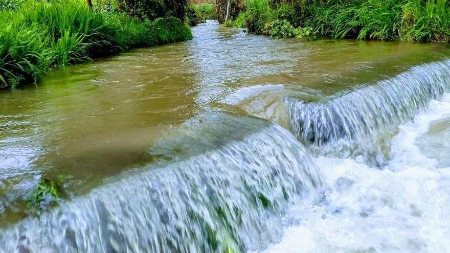 El río de Os Gafos mostraba ayer una notable crecida. // FDV