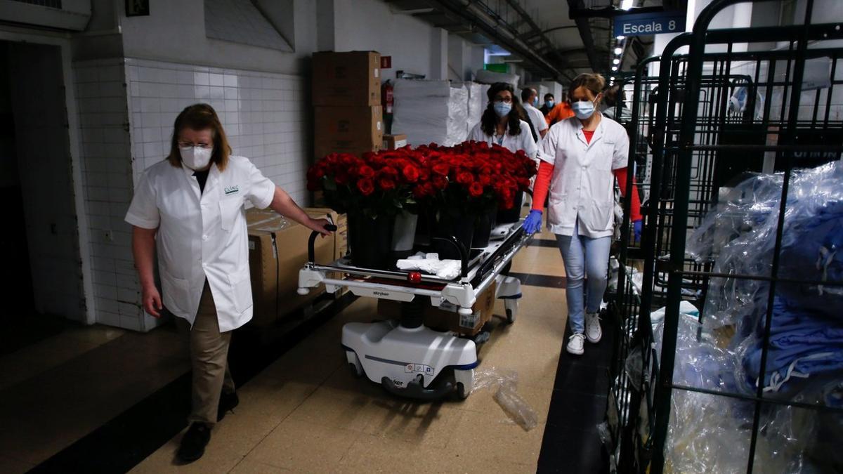 El personal del Clínic reparte las rosas enviadas por el Gremi de Floristes de Catalunya.