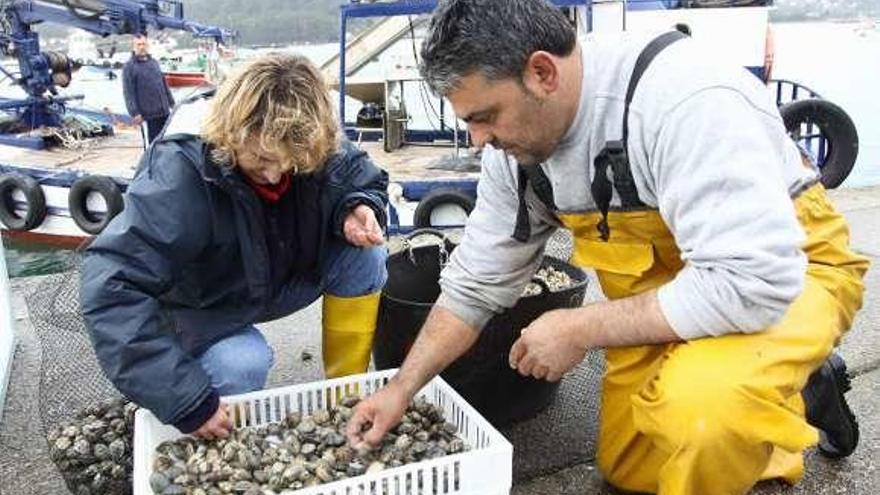 Dos mariscadores gallegos separan berberechos de almejas. // C.G.