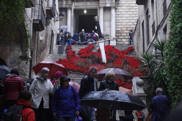 Dilluns de «Temps de Flors» sota la pluja