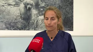 Laura Izquierdo, veterinaria, da consejos sobre cómo actuar con nuestros perros y gatos en zonas de incendio