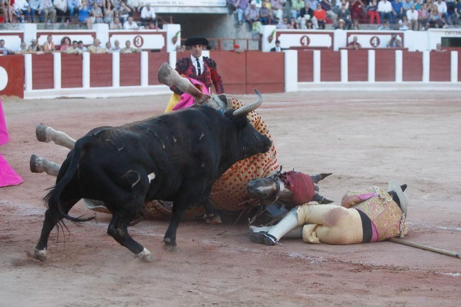 Toros en Zamora