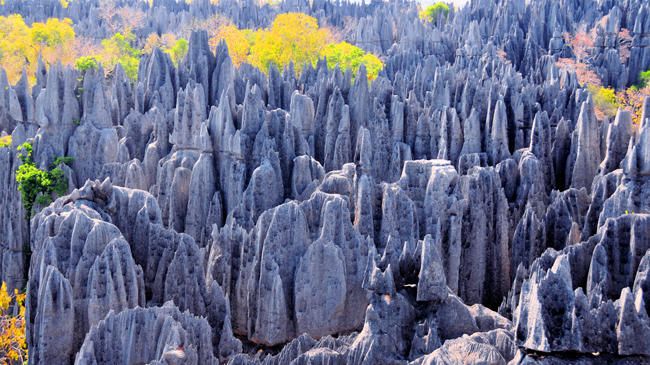 Tsingy de Bemaraha, Bosque de rocas (Madagascar)