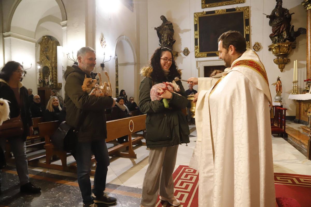 Bendición de mascotas por el día de San Antón en Córdoba