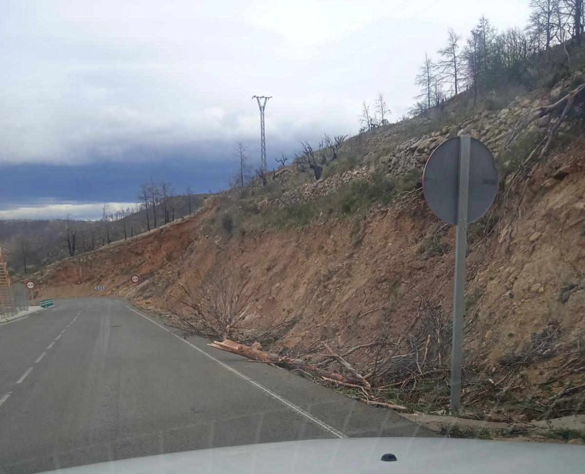 Carretera de Bejís