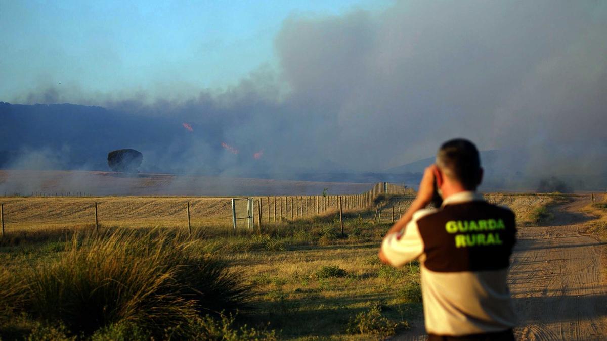 Incendios de verano este fin de semana.