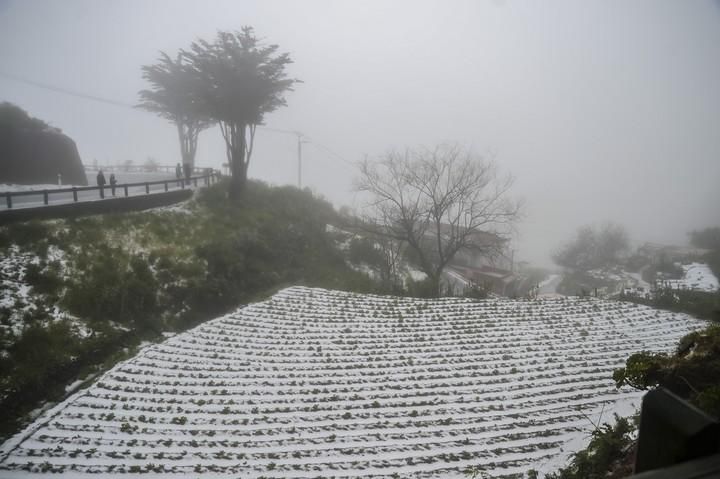 NIEVE EN LA CUMBRE