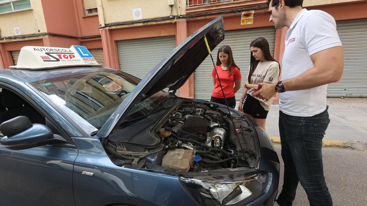 Alicante concederá ayudas a jóvenes para sacar el carnet de conducir y acreditar idiomas