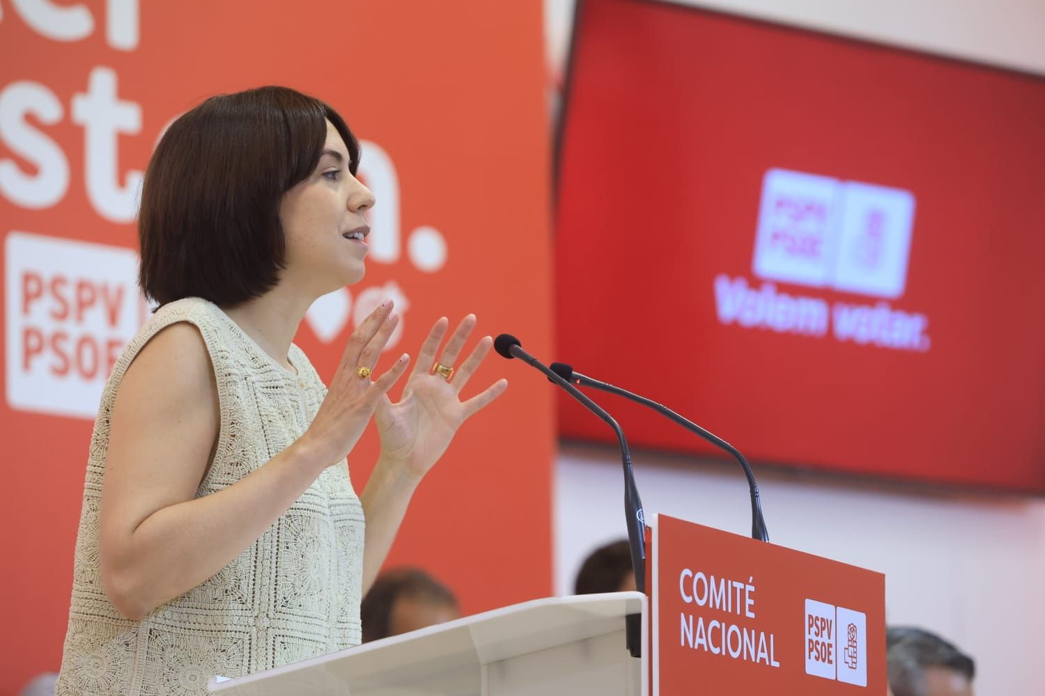 Todas las fotos del Comité Nacional del PSPV en València