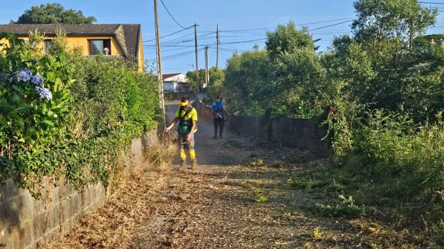Limpieza de caminos públicos en Tomiño. | D.P.