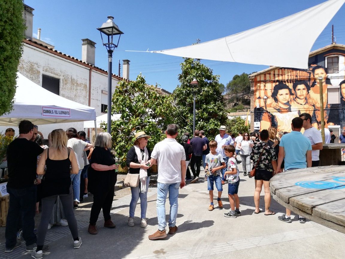 L’Ametlla de Merola destaca la projecció que li atorga la Vieer Fest