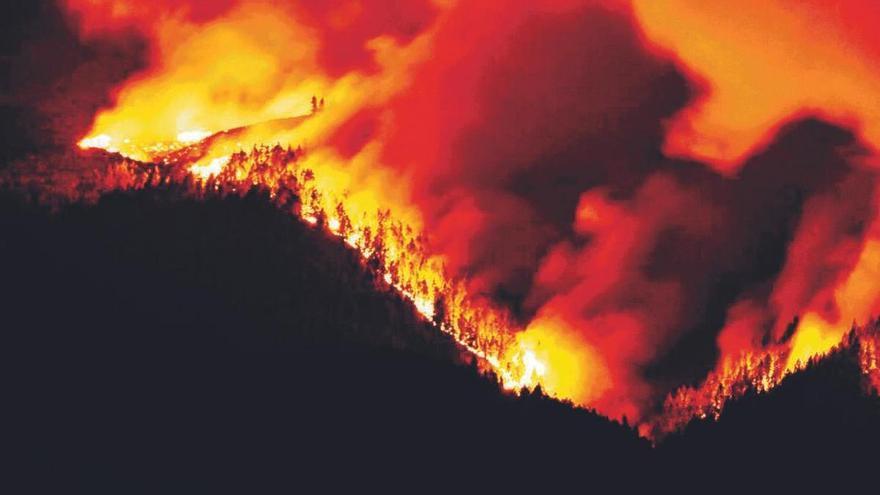 Preocupación por los endemismos de la Corona Forestal