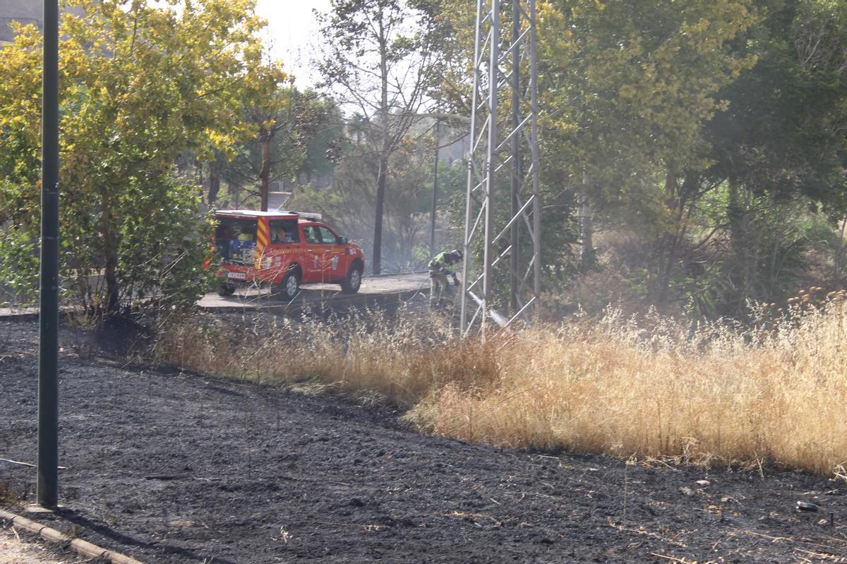 Un bombero trabaja en la zona incendiada junto en el parque del Rivillas de Badajoz junto a la avenida Manuel Rojas Torres.