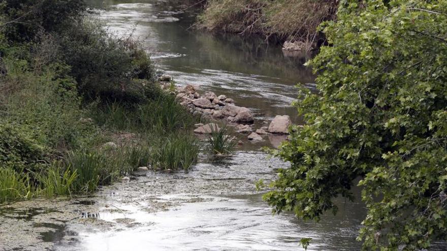 La Mesa del Júcar reitera su rechazo a ceder agua al Vinalopó