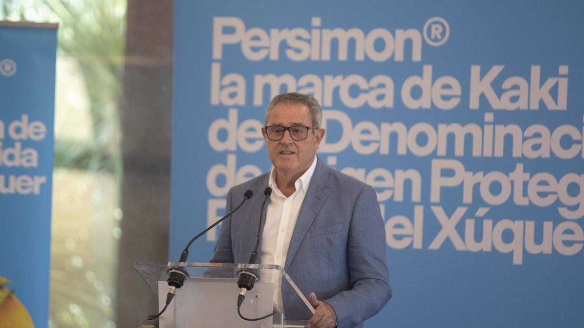 Presentación de la campaña del Caqui por Cirilo Arnandis presidente de la DO Caqui de la Ribera y el conseller de agricultura Miguel Barrachina