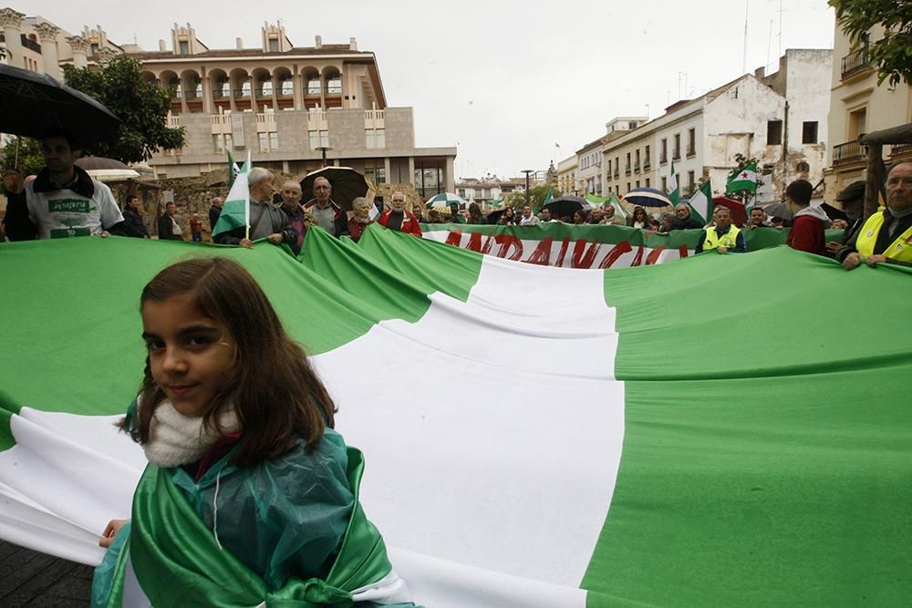 Unas 2.000 personas marchan en Córdoba para que "Andalucía despierte"