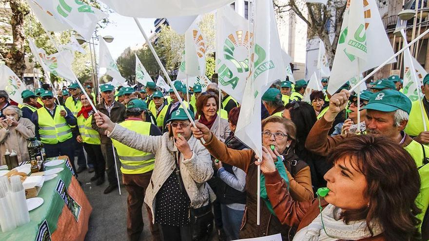 Más de dos mil olivareros cordobeses se manifiestan hoy en Sevilla